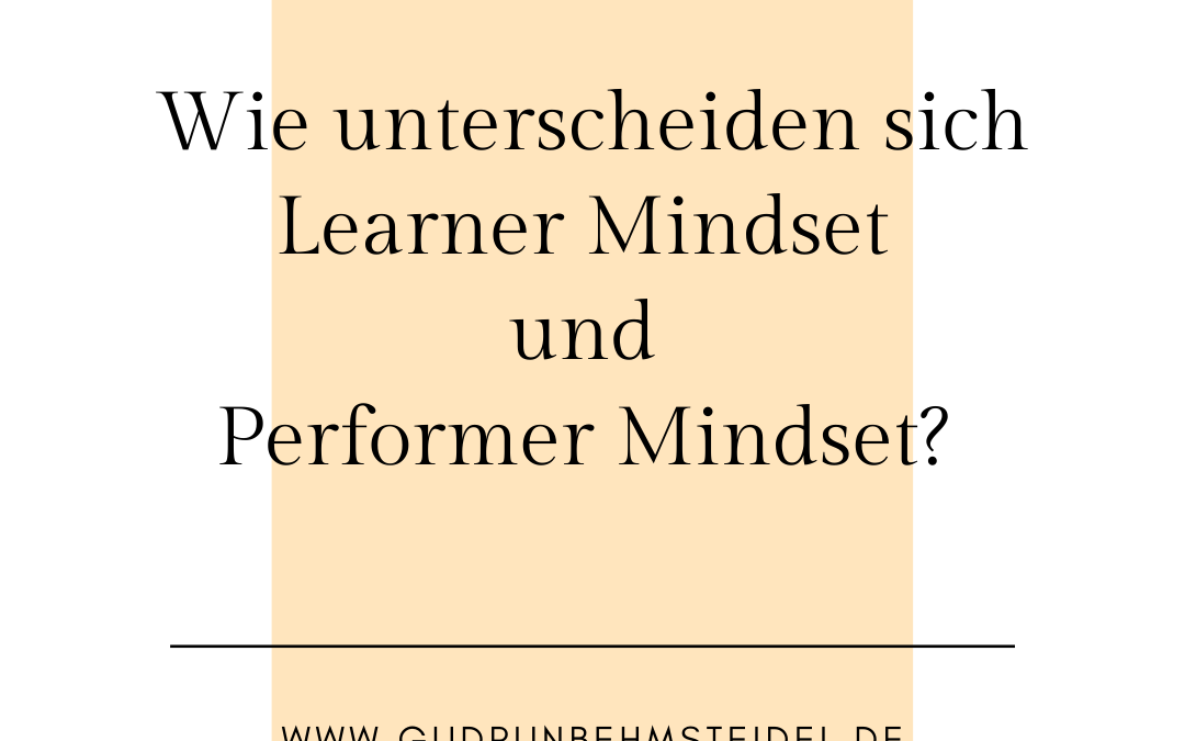 Mindset – sind Sie Learner oder Performer?