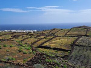 Felder im Frühling im Norden