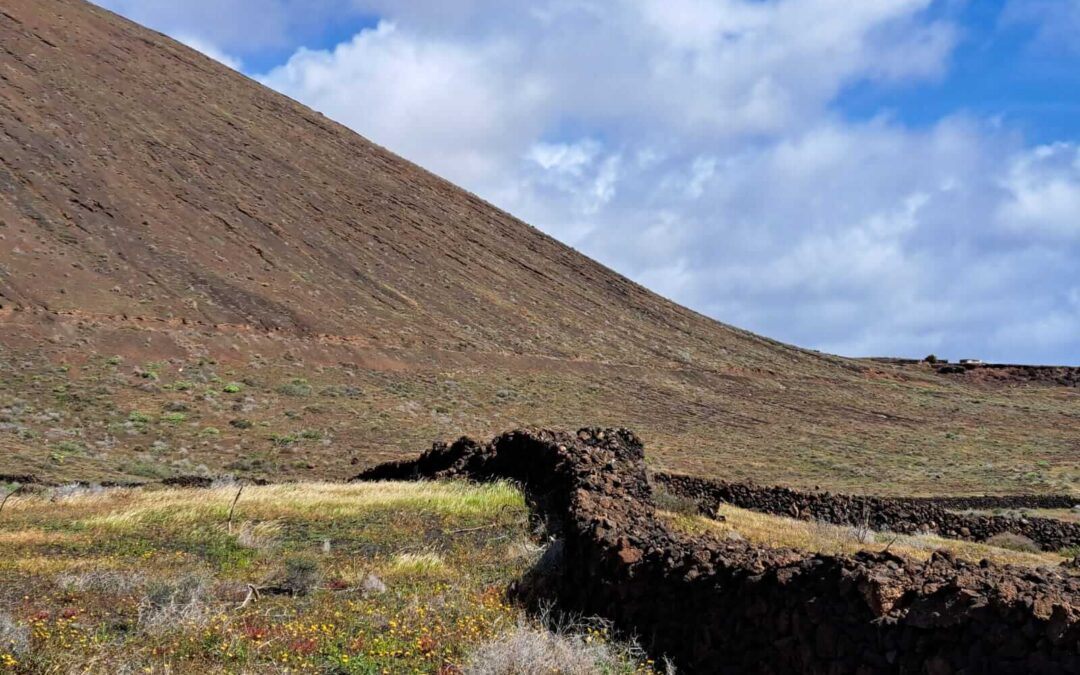 Zurück in Bewegung – und was sich dabei für mich verändert hat